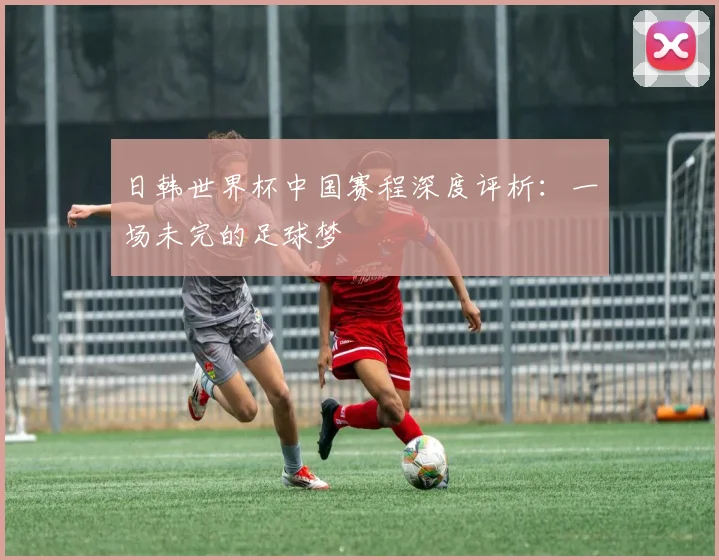 日韩世界杯中国赛程深度评析：一场未完的足球梦