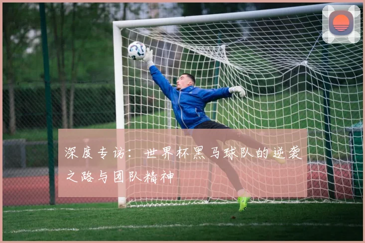 深度专访:世界杯黑马球队的逆袭之路与团队精神