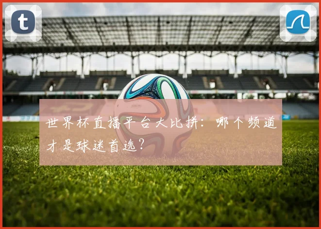 世界杯直播平台大比拼:哪个频道才是球迷首选?