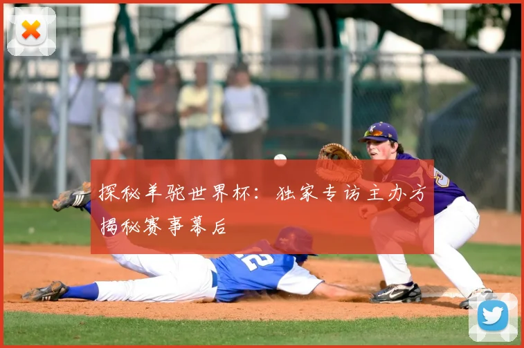 探秘羊驼世界杯：独家专访主办方揭秘赛事幕后