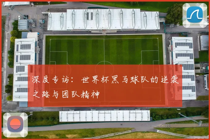 深度专访:世界杯黑马球队的逆袭之路与团队精神
