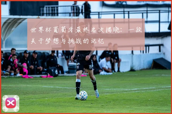 世界杯葡萄牙最终名次揭晓：一段关于梦想与挑战的记忆