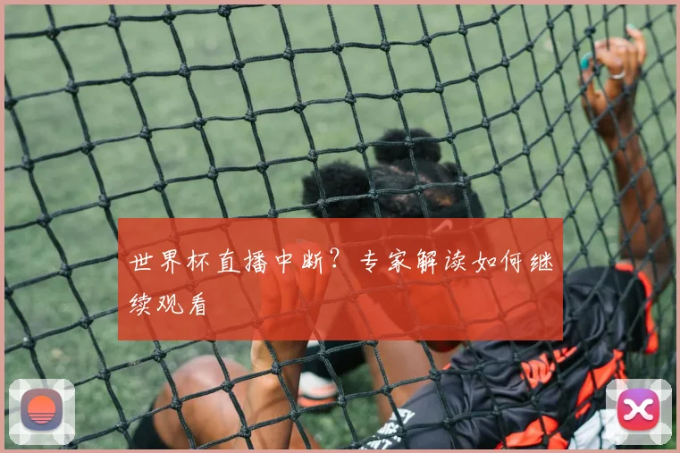 世界杯直播中断？专家解读如何继续观看