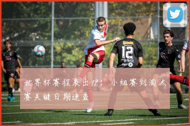 世界杯赛程表出炉：小组赛到淘汰赛关键日期速查