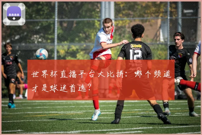 世界杯直播平台大比拼:哪个频道才是球迷首选?