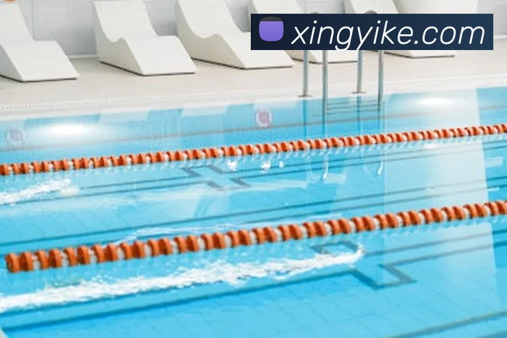 体育直播服务